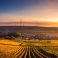 scenic-view-of-agricultural-field-against-sky-during-sunset-325944